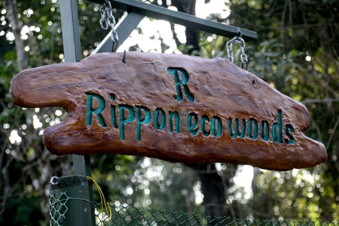Rippon Eco Woods Villa Kalpatta Exterior foto